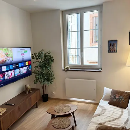 Puits-clos - Quartier Capitole Apartman *