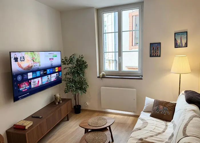 Puits-clos - Quartier Capitole Apartman *